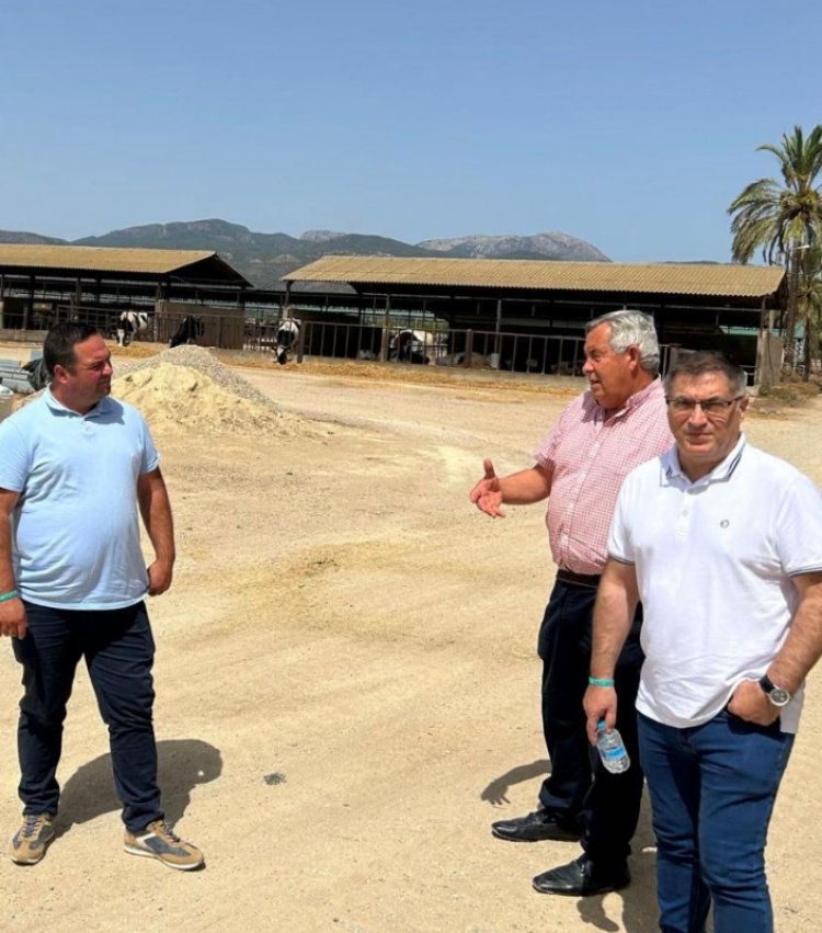 El Ayuntamiento visita la histórica empresa ganadera Aloa para conocer la futura modernización de sus instalaciones