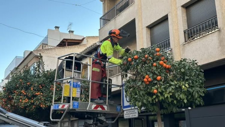 La empresa Eulen, encargada del servicio de limpieza, conservación y mantenimiento de nuestras zonas verdes y arbolado urbano.