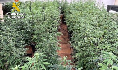 La Guardia Civil desmantela en Alhama de Murcia una vivienda utilizada para el cultivo y secado de marihuana