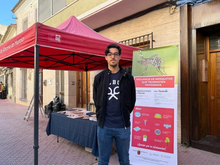 El Ayuntamiento activa una campaña contra el mosquito tigre hasta diciembre para frenar su proliferación