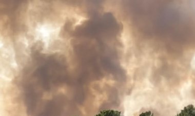 Impuestos o barbarie, aunque lamentablemente muchos eligen barbarie (Artículo de Antonio García Martínez)