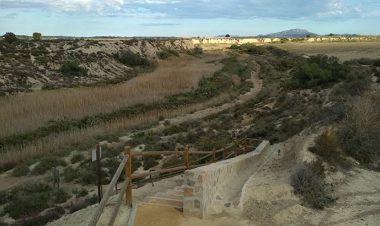 Los Saladares del Guadalentín son declarados Zona Especial de Conservación