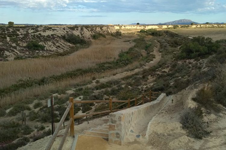 Los Saladares del Guadalentín son declarados Zona Especial de Conservación