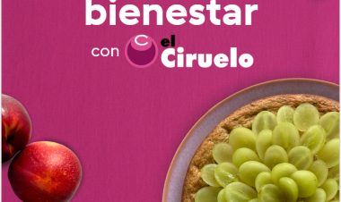 El Ciruelo ha puesto en marcha una colaboración con Cookidoo®, la plataforma oficial de recetas de Thermomix®, a través de la creación de una colección propia de ocho recetas elaboradas con uva y fruta de hueso.