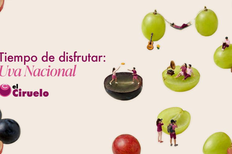 El Ciruelo inicia su campaña nacional de uva de mesa con una previsión de 70.000 toneladas 
