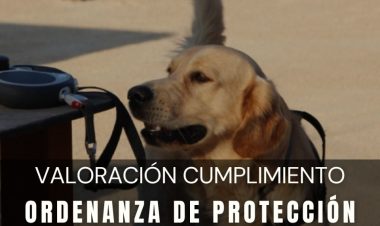 La concejalía de Bienestar Animal tramita 30 sanciones por incumplimiento de la Ordenanza Municipal de Tenencia de Animales de Compañía