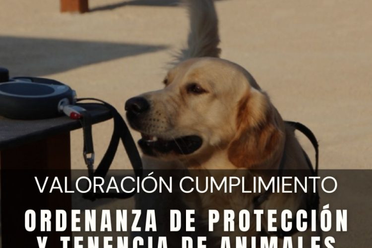 La concejalía de Bienestar Animal tramita 30 sanciones por incumplimiento de la Ordenanza Municipal de Tenencia de Animales de Compañía