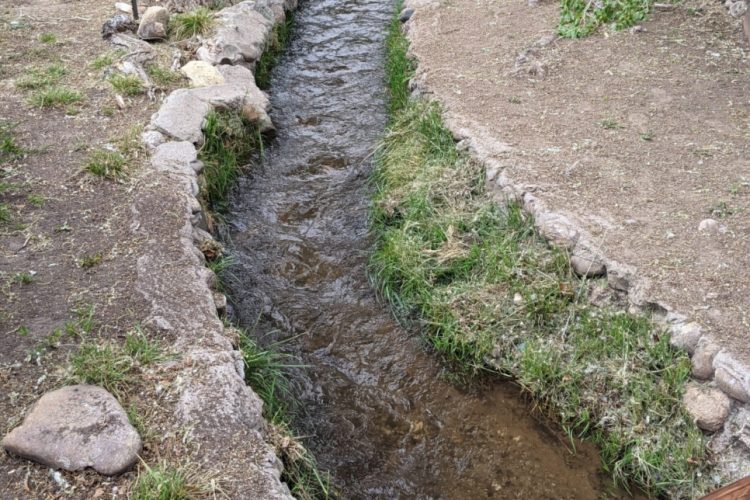 POR MI CALLE PASABA UNA ACEQUIA (Artículo de Isabel Campos López)